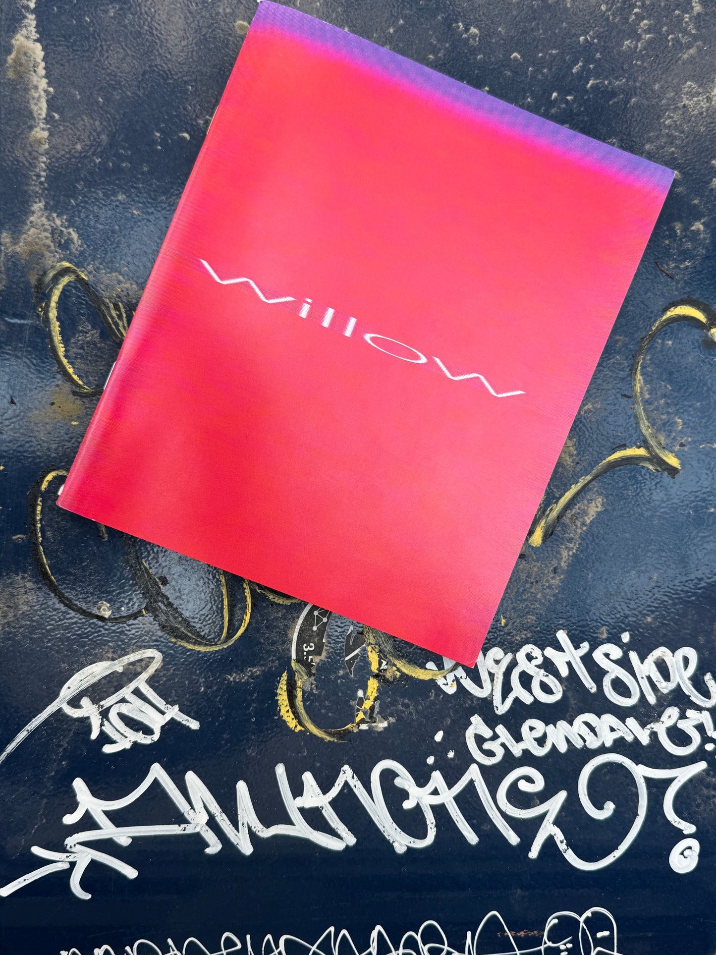 WILLOW zine